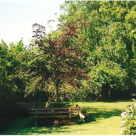 Gastehaus Hankhausen Guest house