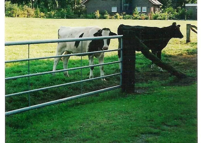 Gaestehaus Hankhausen Rastede